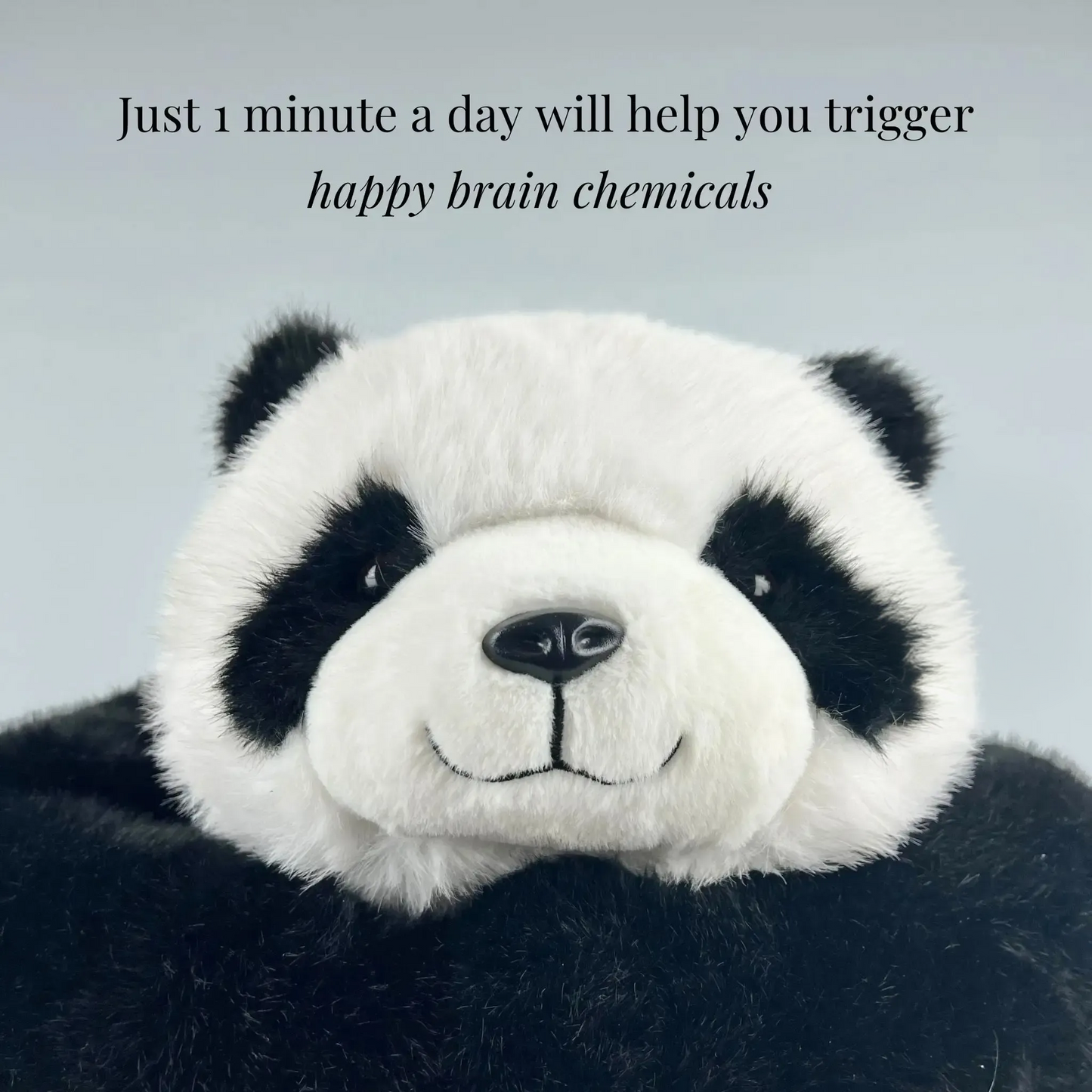 Pookie Weighted Panda Plush